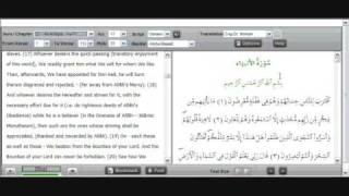 Quran Explorer screenshot 3