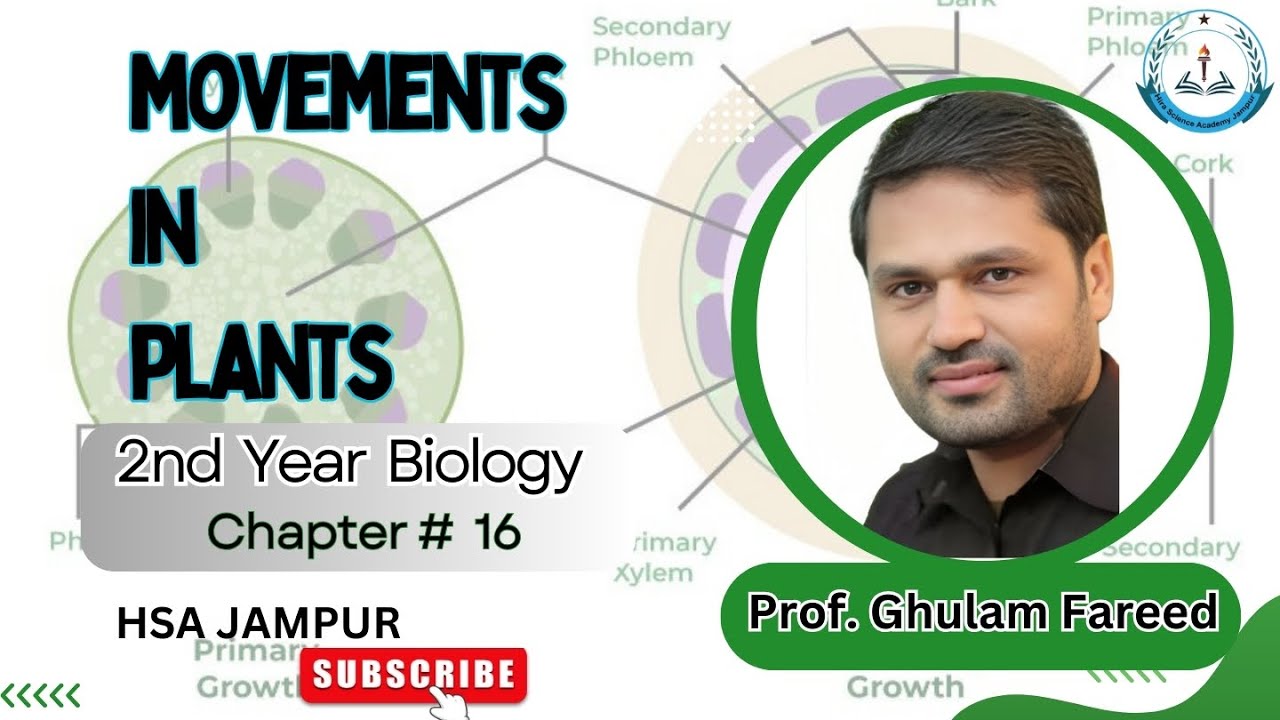 MOVEMENTS IN PLANTS | Biology Class 12 | Chapter 16 | LEC # 3 - YouTube