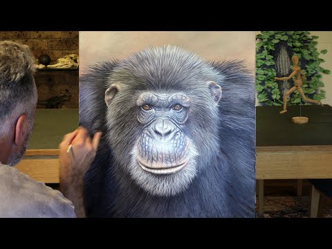 Chimpanzee painting time-lapse