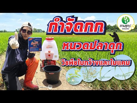 กำจัดกก หนวดปลาดุก เทียนนา กระดูกไก่ หญ้าข้าวนก วัชพืชใบกว้างและใบแคบ