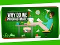 Why Do We Procrastinate?