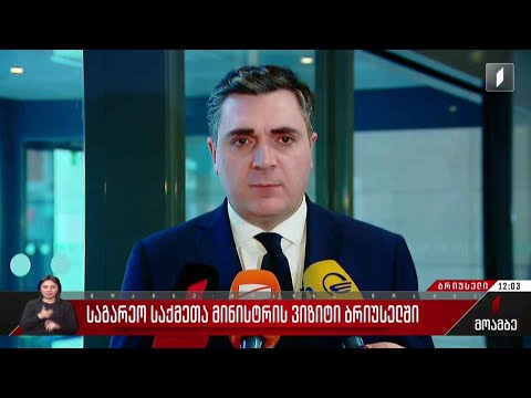 საქართველოს საგარეო საქმეთა მინისტრის ვიზიტი ბრიუსელში