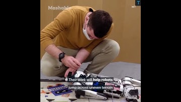 Jumping Robot|MIT Mini Cheetah Robot|#shorts