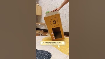 🐈Cat scratching board source factory #cat #catcare #catbehavior #animalbehavior #funnyanimals