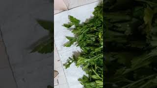 Herbalists And House