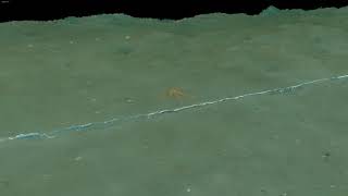 Close-up Visual Seabed Survey - 20m Depth - 3D photogrammetry