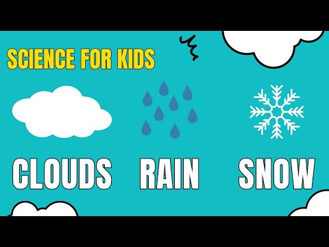 The Science of Clouds, Rain and Snow for Kids by Little Lab | Educational Videos for Toddlers