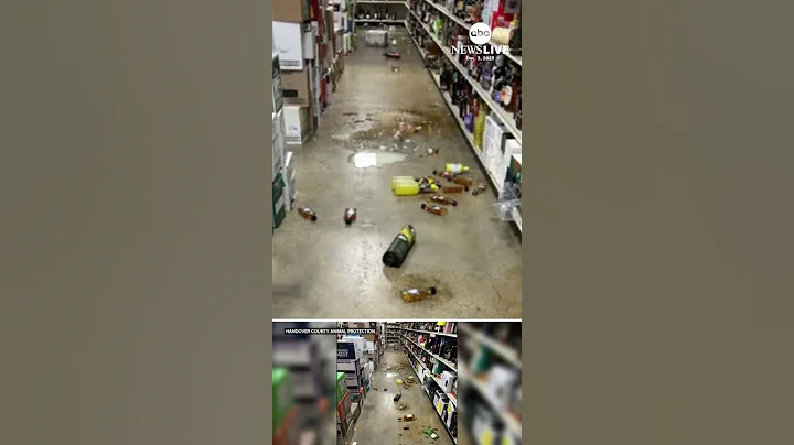Drunk raccoon found passed out in liquor store bathroom