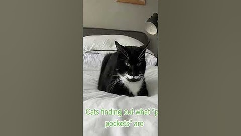 Unmasking Deception 🔍 Find the Truth in this Viral Video!