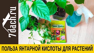 Янтарная Кислота 