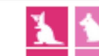 Anonymous Kangaroo screenshot 4