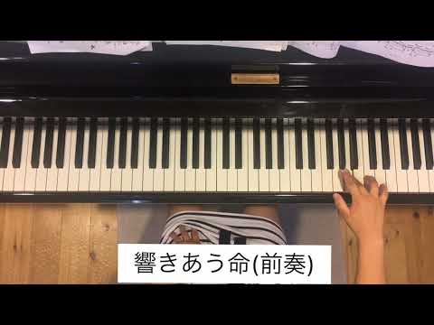 響きあう命(前奏)
