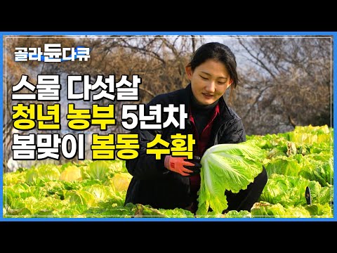 젊은 나이 스물 다섯에 들어선 농부의 길 | <strong>진도에서</strong> 제일 먼저 피는 꽃 &amp;#39;봄동꽃&amp;#39; | 한국기행 | #골라듄다큐