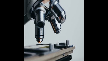 К ноябрю 2023 года будет создана российская платформа для работы с 3D-анимацией