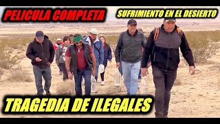 Tragedia de Ilegales 🎬 Película Completa en Español