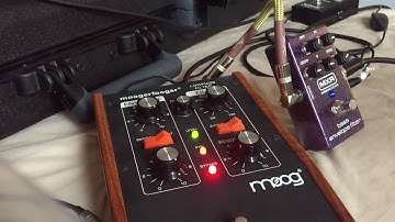 Moog Moogerfooger MF-101 vs. MXR M82 - Envelope Filter Review for Bass Guitar - With Direct Audio!