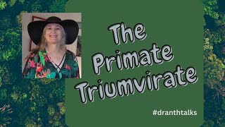 Dr. Anth Talks The Primate Triumvirate
