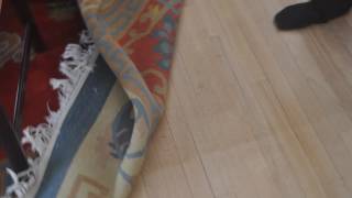 How to stop stains on wood floors caused by rugs and carpets