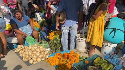 TEMPORADA DE JICAMAS (YAM BEAN) EN LOS MERCADOS DE GUERRERO, MXICO.