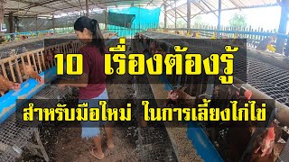 10 เรื่องต้องรู้ สำหรับมือใหม่ ในการเลี้ยงไก่ไข่