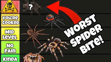 The Worst Spider Bite In The World…