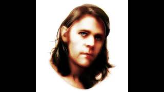 Video thumbnail of "Ariel Pink - Life Before Today"