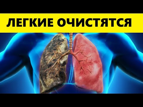 Это Мощное Средство, Полностью Очистит Лёгкие от Мокроты и Слизи в Бронхах Всего За...