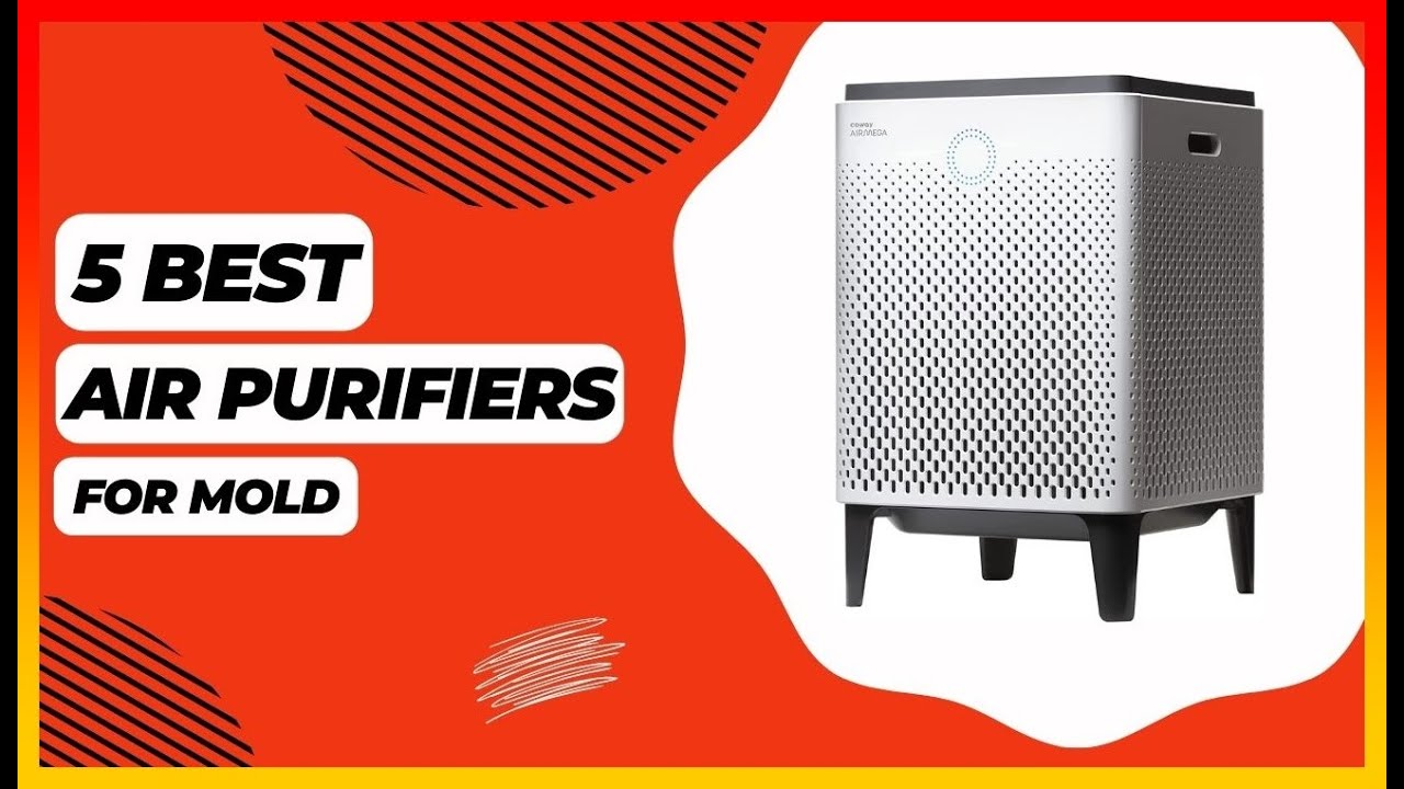 Best Air purifiers For mold on amazon ️ Top 5 Tested & Buying Guide ...