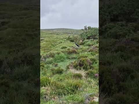 How not to hike in the Outer Hebrides