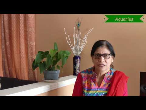 Episode 1 - 2017 Rashifal and Tips for a Successful Year