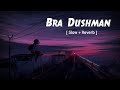 Bra Dushman | slow and reverb | Army public school | Ispr | Lofi Life