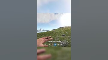 Bear Attack In Rust #rust #funnyimages #funnyclips #funnymemes #gaming #fypage #fps #comedy #shorts