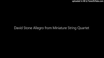 David Stone Allegro from Miniature String Quartet