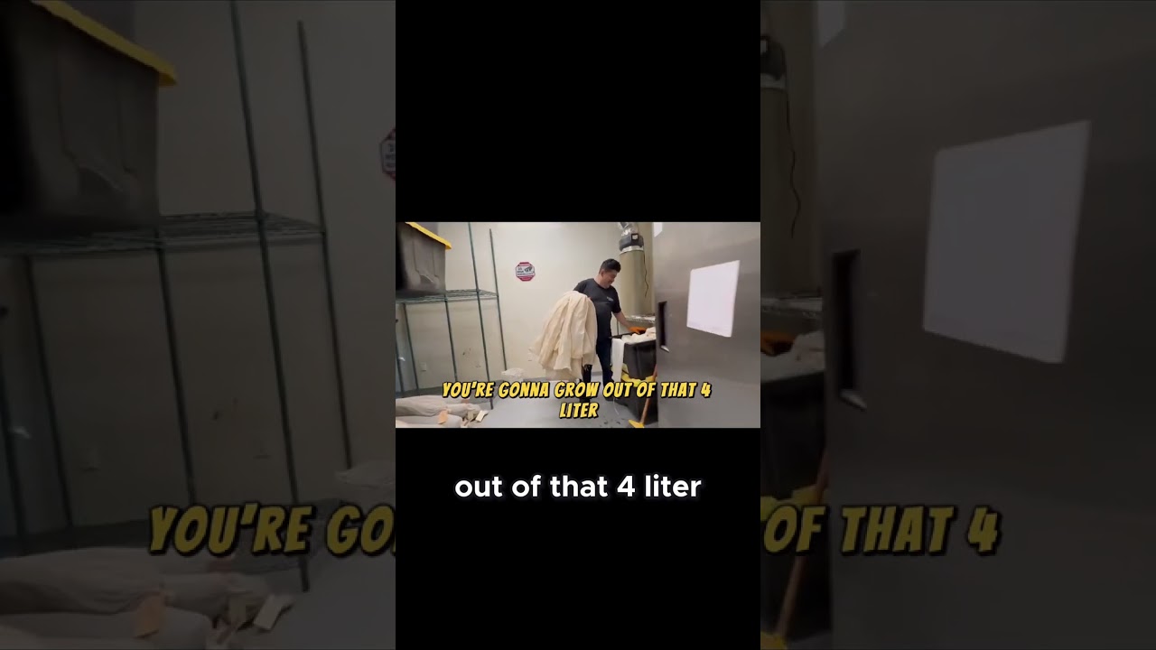 Choosing the Right Equipment for Your Market