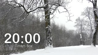 Celebrity 20 Minute Winter Timer - Calm & Relax with Soothing Music ❄️ Teachers, Class, Study, Focus, Meditate Wealth