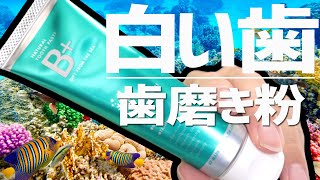 ホワイトニングが気になる/白い歯を目指したい方におすすめの歯磨き粉です