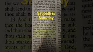 deut 28;13