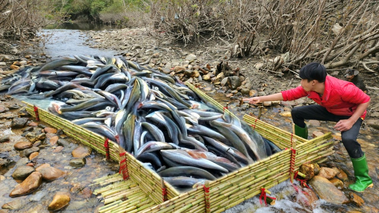 The boy used bamboo to make a fish trap in the stream and unexpectedly ...