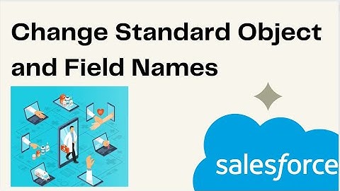 Change Standard Object and Field Names in Salesforce