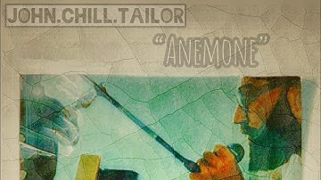 ANEMONE | Chill People | by John Chill Tailor (Video 4k)