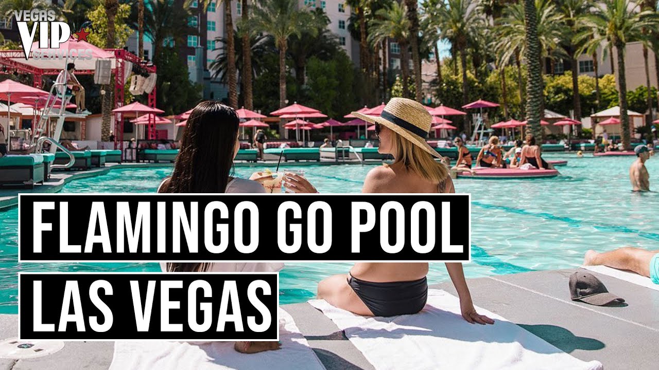💦 Flamingo Go Pool Las Vegas - YouTube