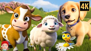 learn animal sounds fun learning video kids