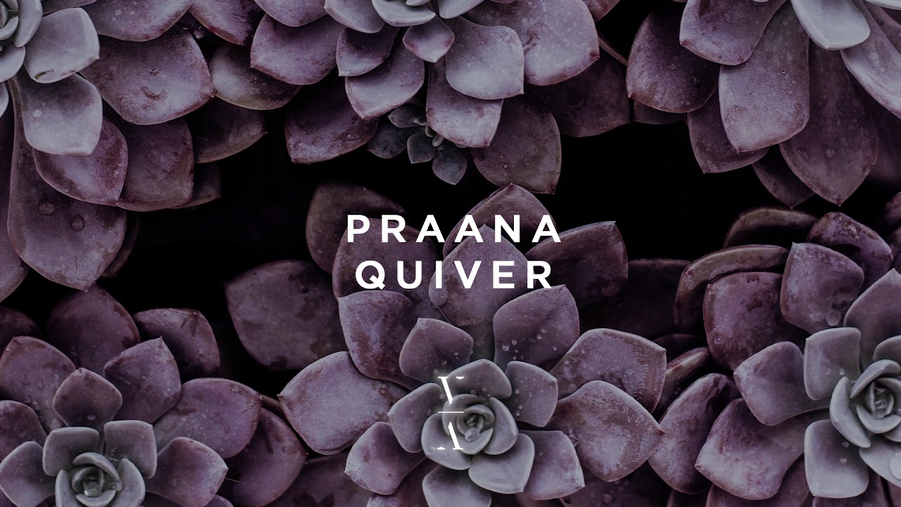 PRAANA - Quiver