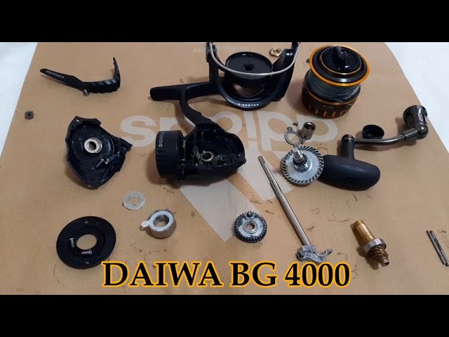 The Perfect Spinning Reel  Almost  Daiwa BG4000 Comprehensive Review 