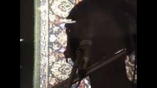 Nine Horses - Recording Sessions