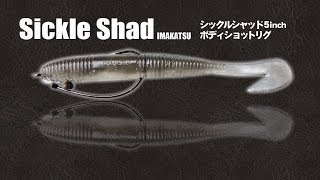 シックルシャッドのボディショットリグ-水中動画