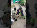 YouTube channel पर 1000 subscribers होने की खुशी में मैं 10 पेड🌲 लगाऊंगा #minivlog #vlog #viral