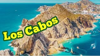 Curious Thing in Los Cabos, Mexico by Explora Conmigo 442 views 9 months ago 1 minute, 47 seconds