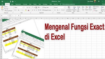 Mengenal Fungsi Exact di Excel  - AG Excel