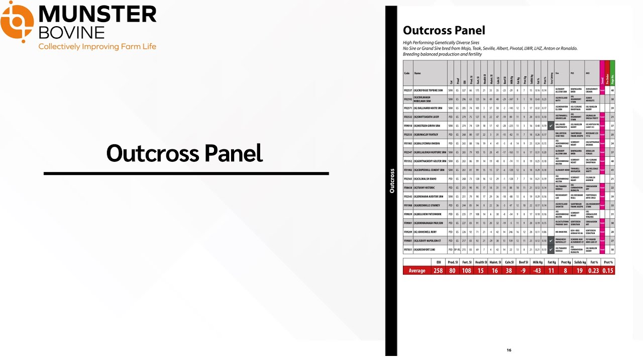 Outcross Panel - Spring Dairy Catalogue 2026
